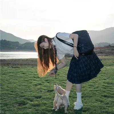威尔